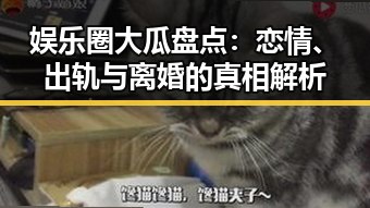 娱乐圈大瓜盘点：恋情、出轨与离婚的真相解析