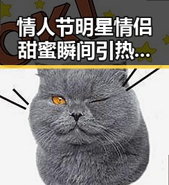情人节明星情侣甜蜜瞬间引热议，真的是“高甜”吗？