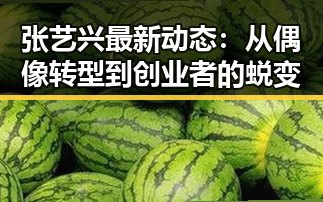 张艺兴最新动态：从偶像转型到创业者的蜕变